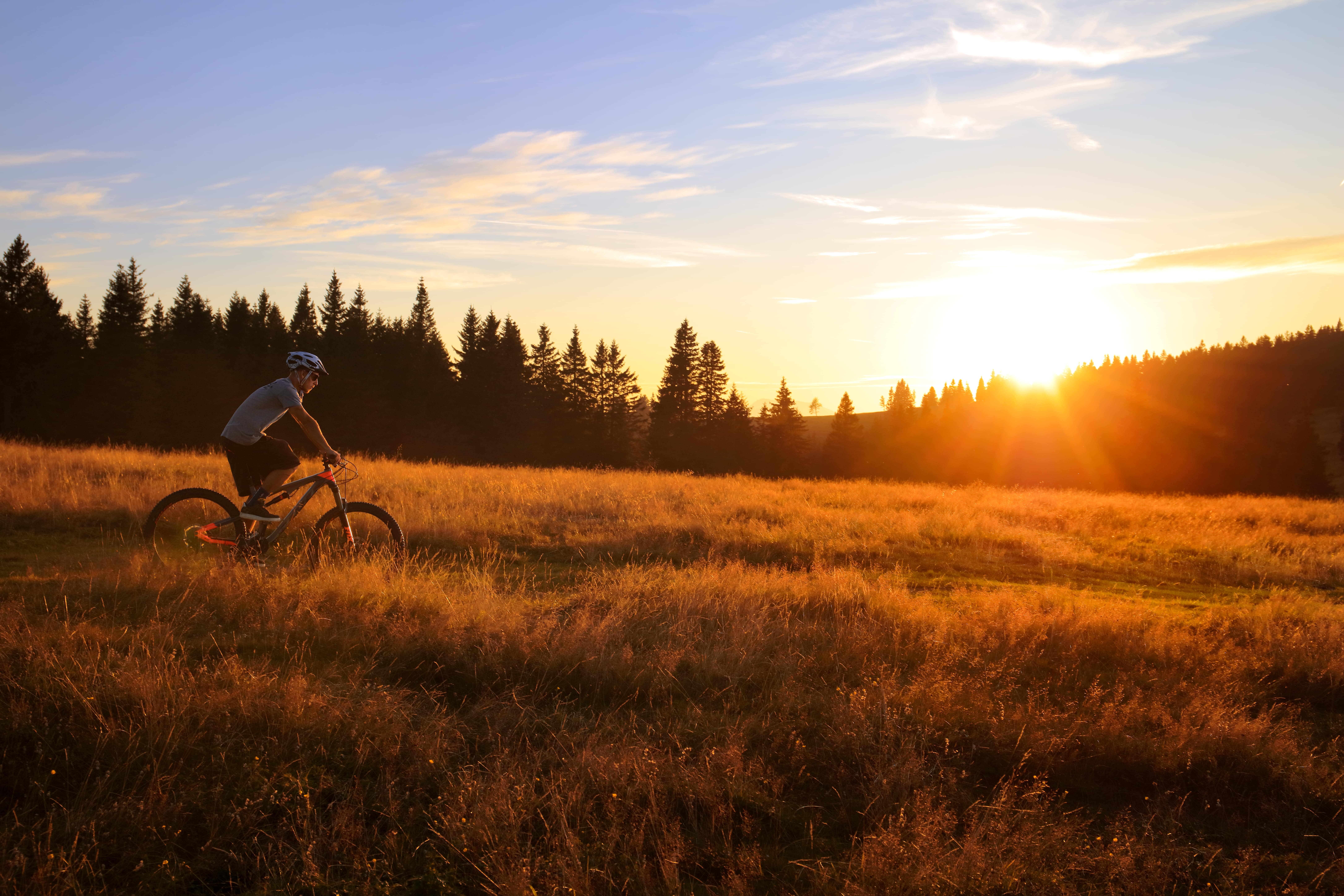 Bike Park Rogla Pohorje Slovenija Slovenia Slowenien