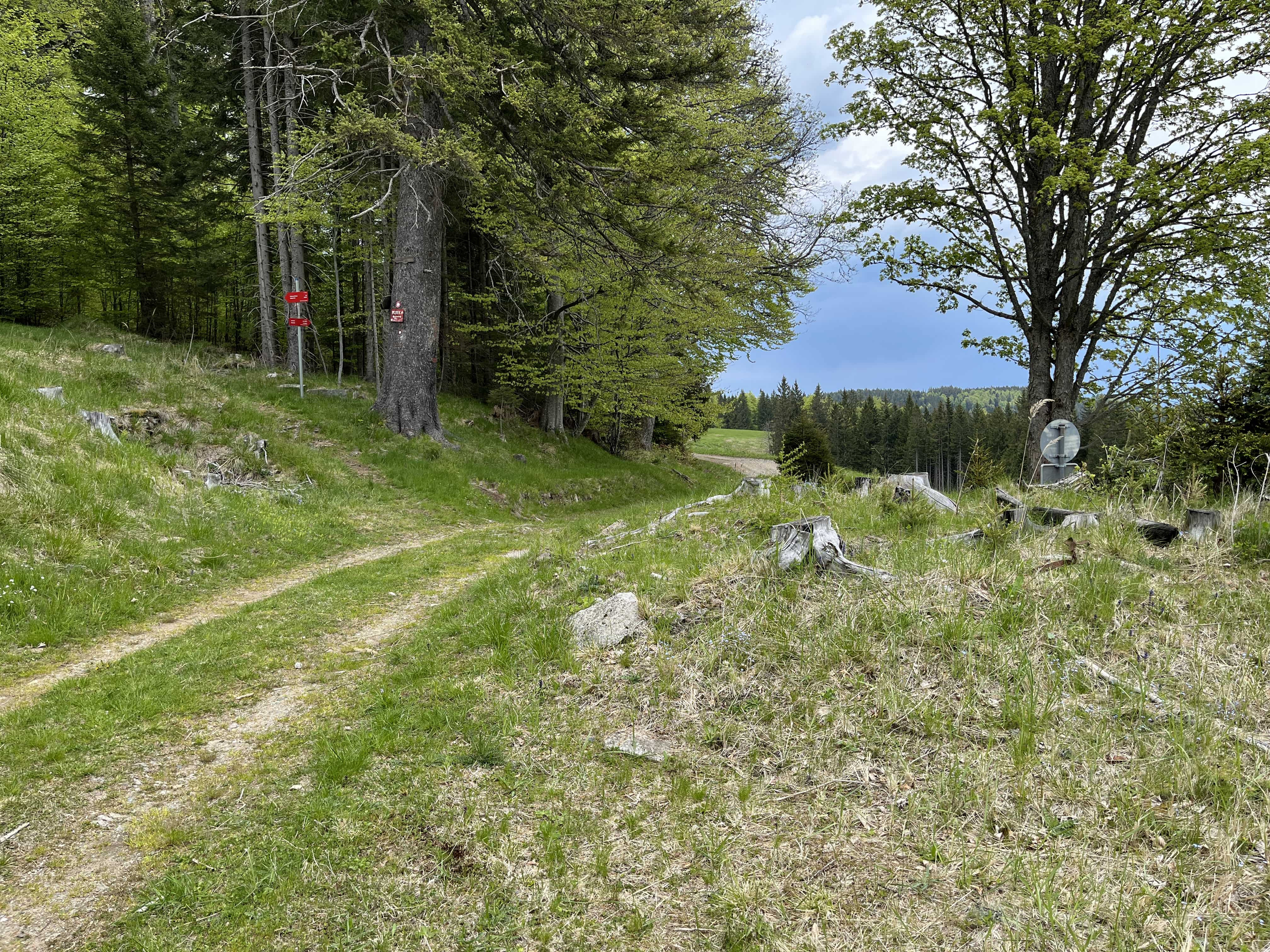 Pohorje – Kozjak Trail: Etapa 5 Trije kralji-Klopni vrh