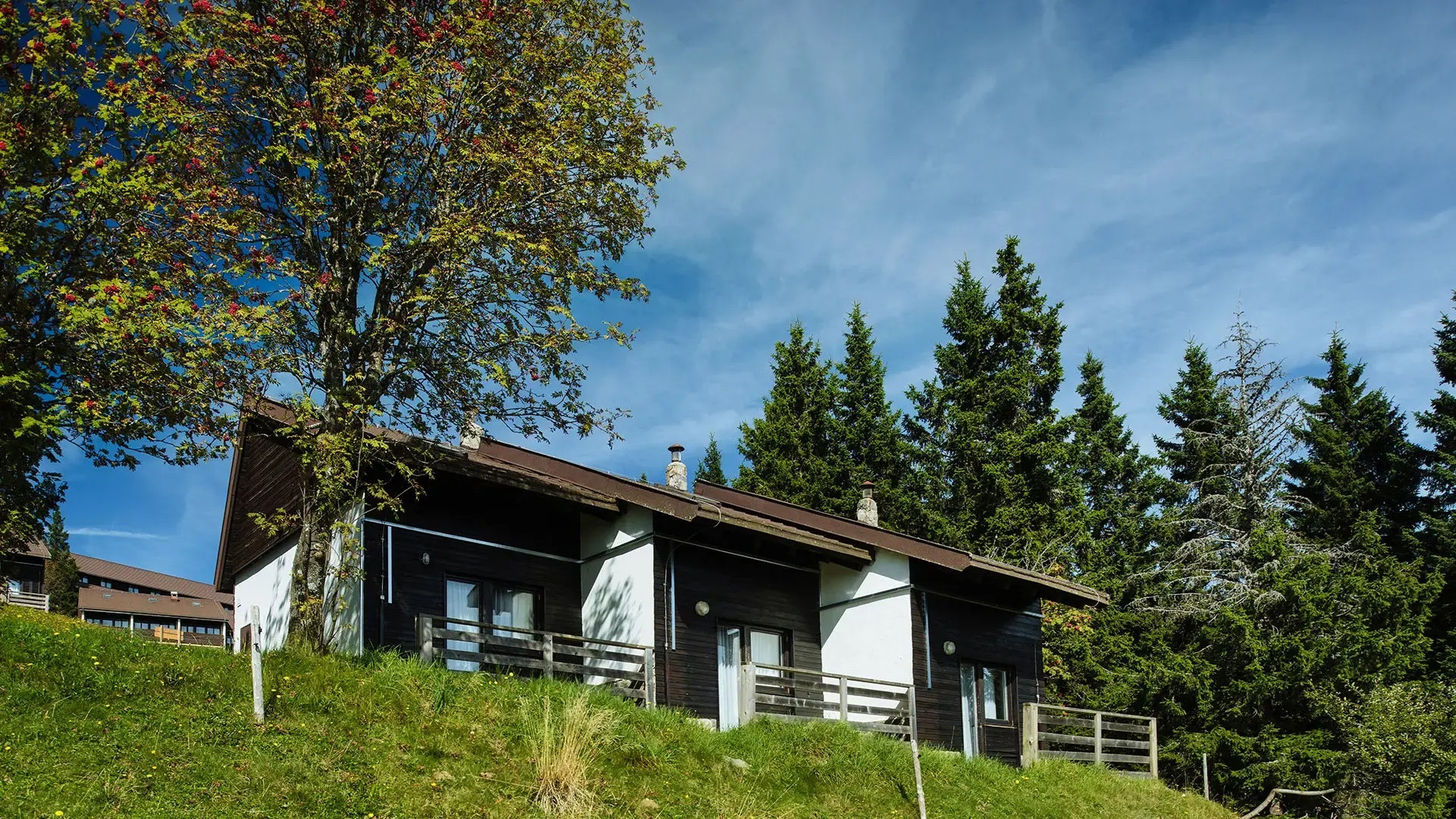 Bungalovi Rogla In Gaber