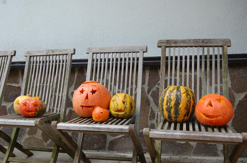 Botanični vrt Univerze v Mariboru